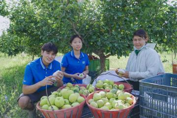 新疆中通網點的“生意經”：駐點攬收，日發香梨2萬單