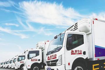 案例：海南省構建冷鏈物流行業新格局
