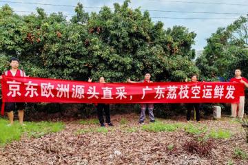 京東打通荔枝跨國冷鏈，48小時到消費者餐桌