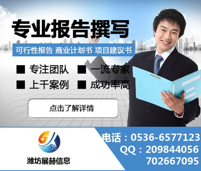 代寫融資計劃書,代寫商業(yè)計劃書，代寫可行性報告，代寫政府立項報告