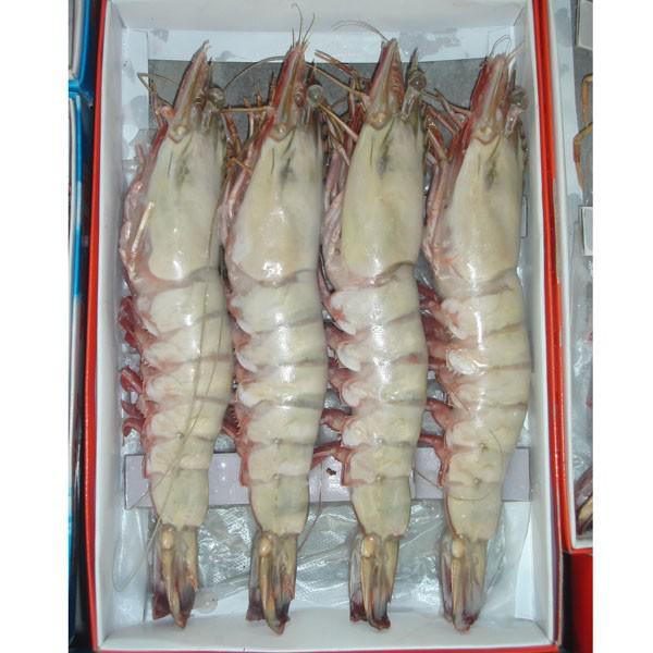 泰國(guó)對(duì)蝦進(jìn)口有關(guān)注意事項(xiàng)
