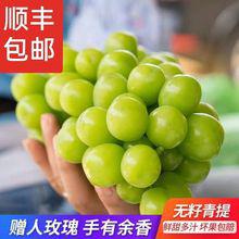 進口日本晴王無籽青提陽光網(wǎng)紅水果生鮮孕婦葡萄青島港報關(guān)