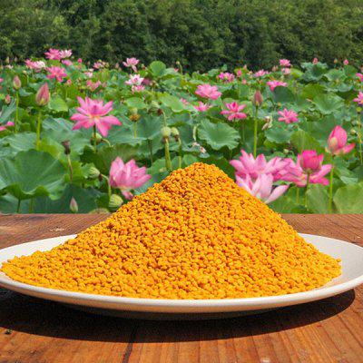 美國蜂花粉養蜂喂蜂純正蜜蜂飼料蜂蜜食品健康在常州港進口報關