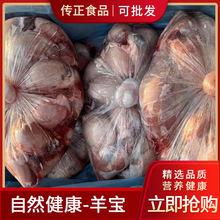 天津進口澳洲冷凍羊肉穿羊肉串羔羊碎肉瘦肉大塊報關清關